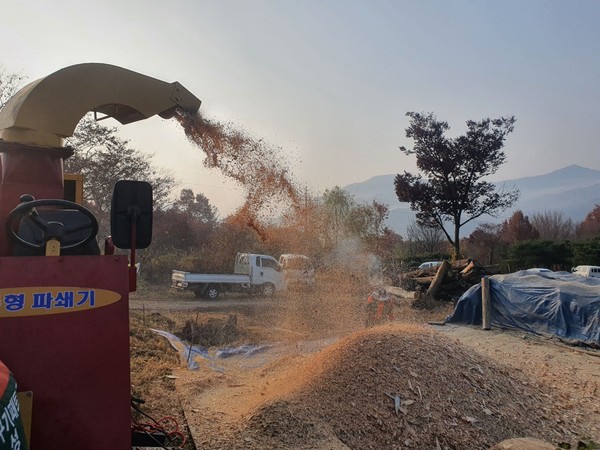 곡성군 공공산림가꾸기 사업단, 농업용 톱밥 공급/곡성군 제공