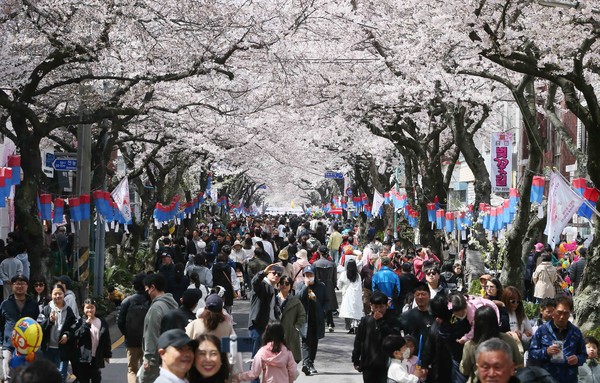 시민들이 벚꽃이 핀 거리를 걷고 있다 / 사진 = 연합뉴스.