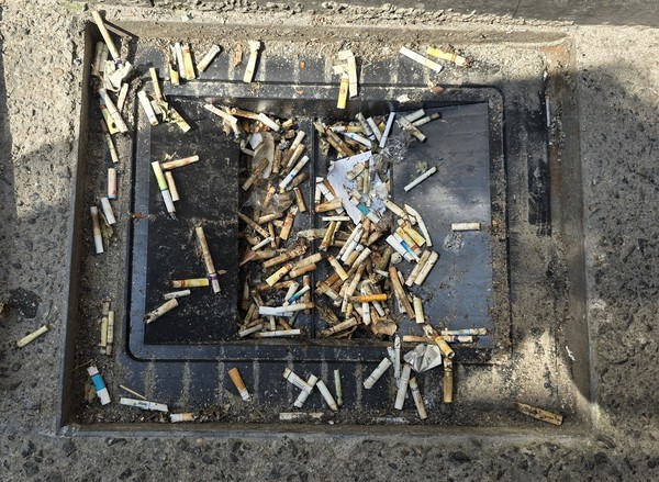 담배꽁초 범벅 빗물받이 / 사진 = 연합뉴스. 