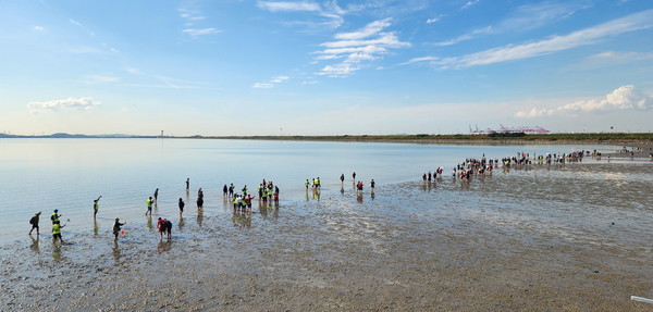 24일 열린 2025 시화호 갯벌 맨발걷기 페스타 행사에 400여 명의 시민이 참여했다/ 사진=시흥시