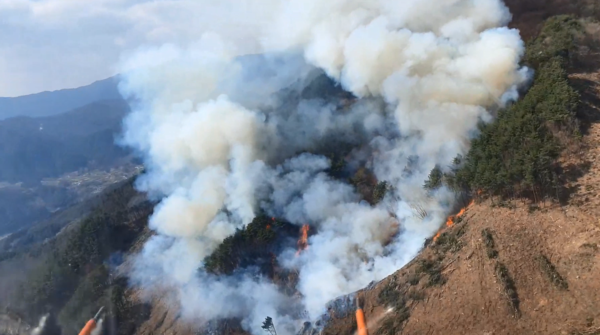 산불 현장/안전신문 자료사진 