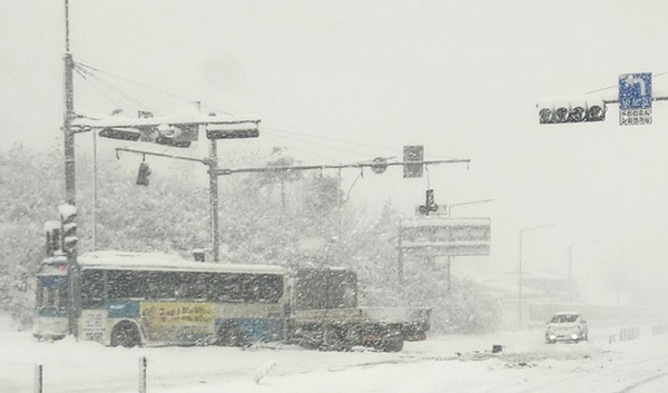 / 사진 = 연합뉴스. 