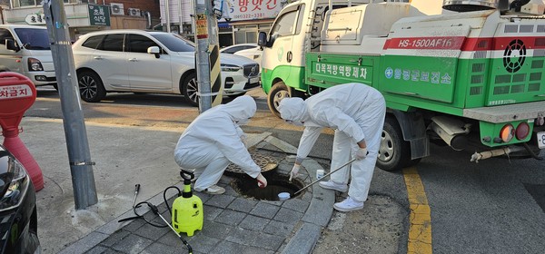 유충구제 장면/사진=함평군 보건소