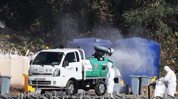 조류인플루엔자 확산 막기 위해 분주한 방역차 / 사진 = 연합뉴스. 