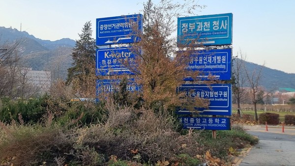 과천시 교육원삼거리에 위치한 안내표지판이 식재된 조경수에 가려져 문구를 식별하기가 어렵다./ 사진=강덕균 기자